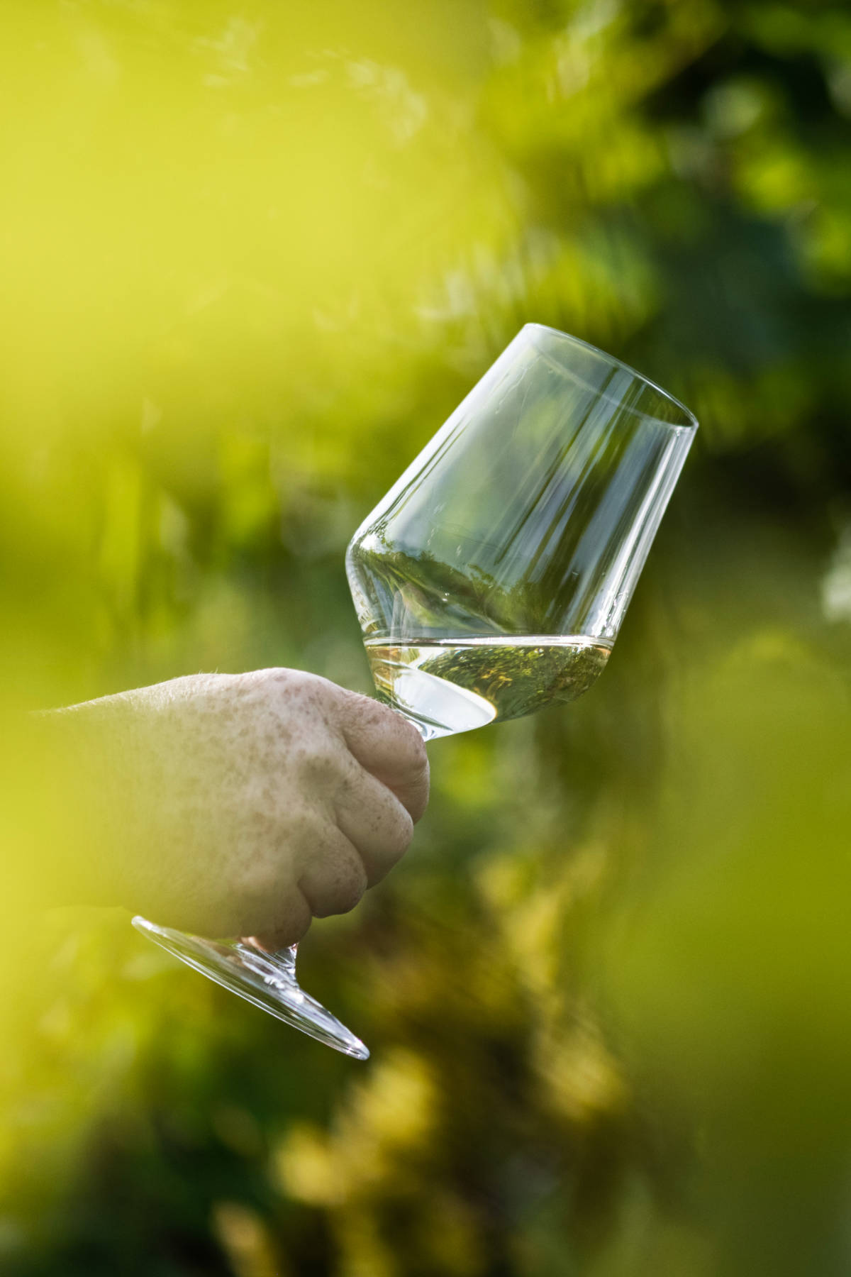 Füllemann Wein