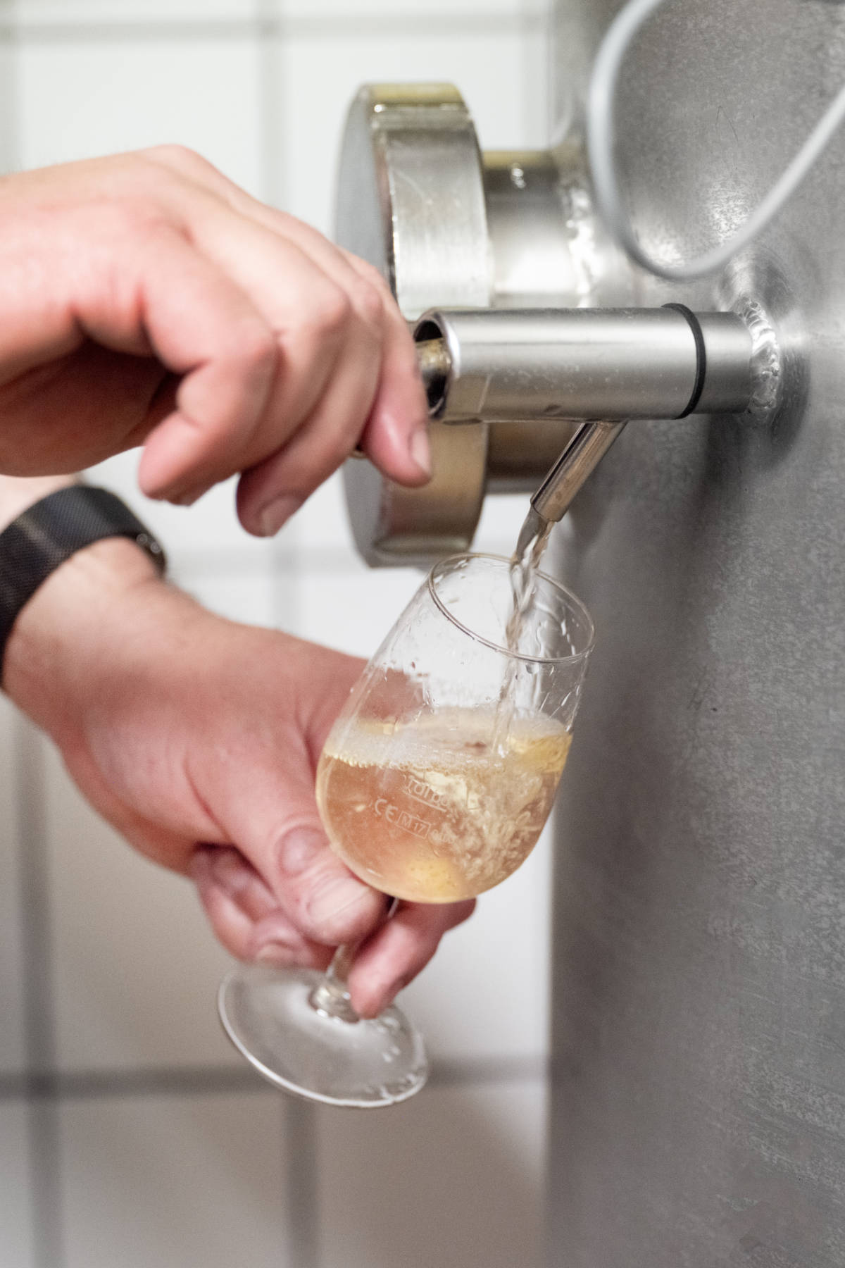 Füllemann Wein