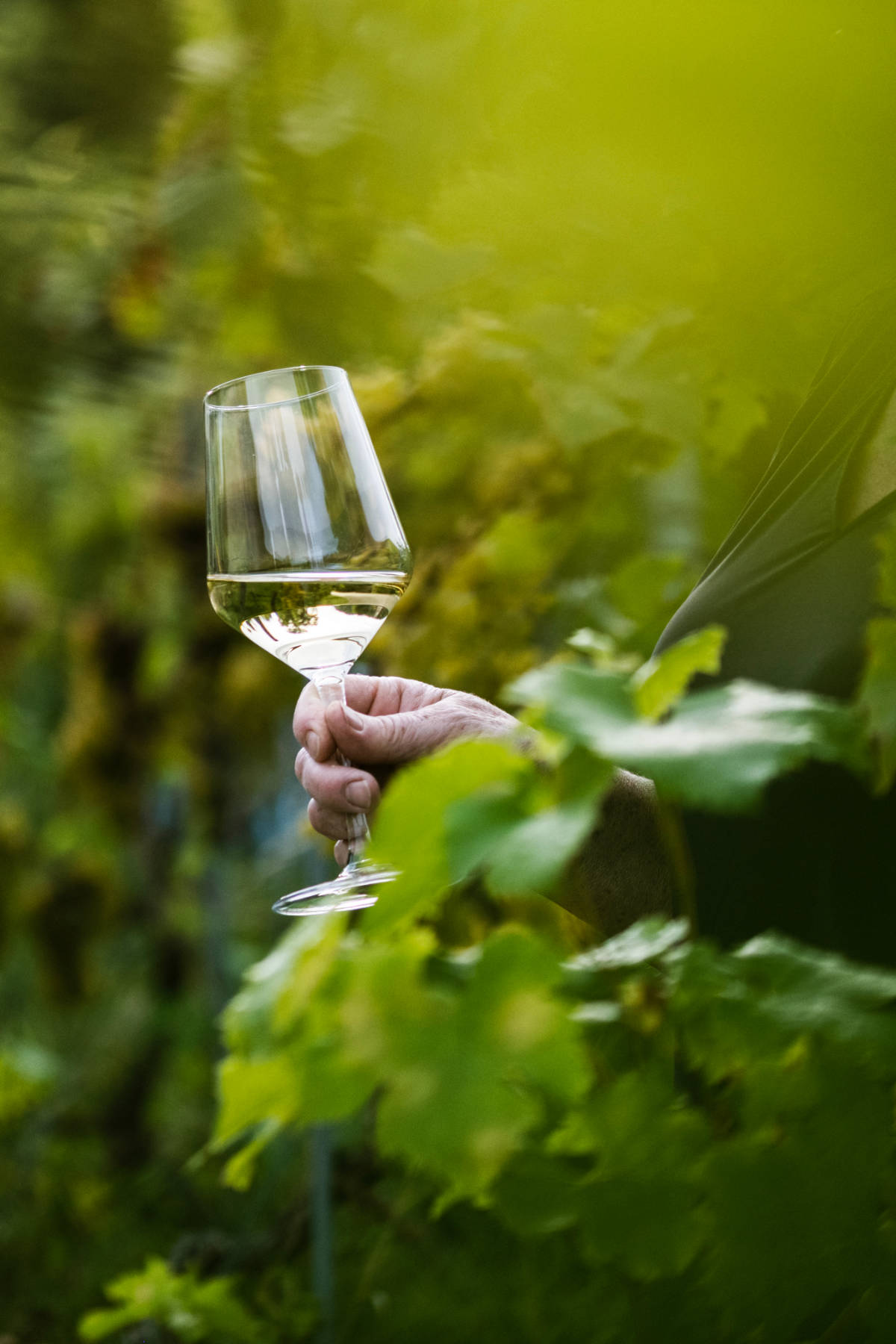 Füllemann Wein